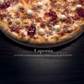21_LAPOINA_02
